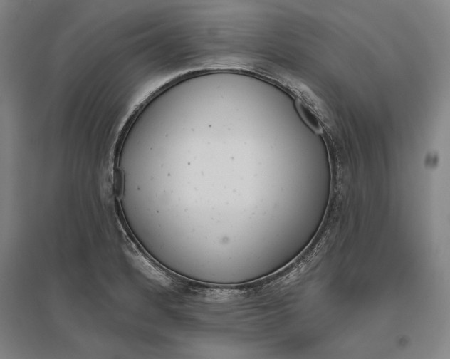 X0000096631184200802261157