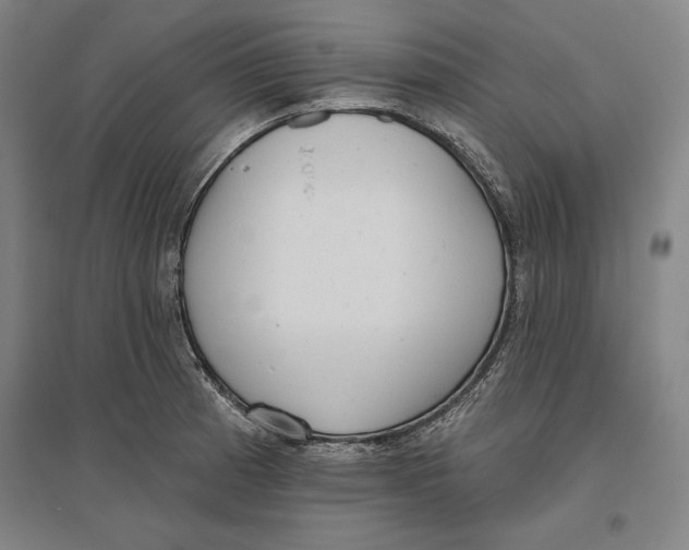 X0000096631185200802261157
