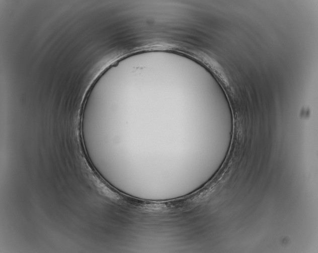 X0000096631186200802261157