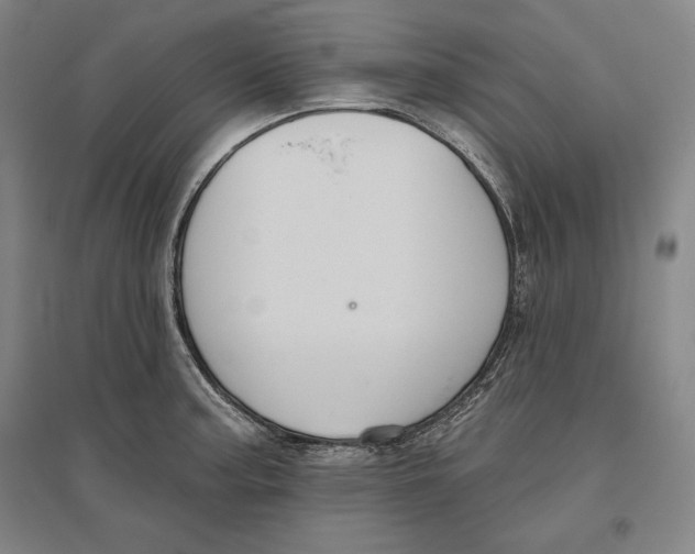 X0000096631187200802261157