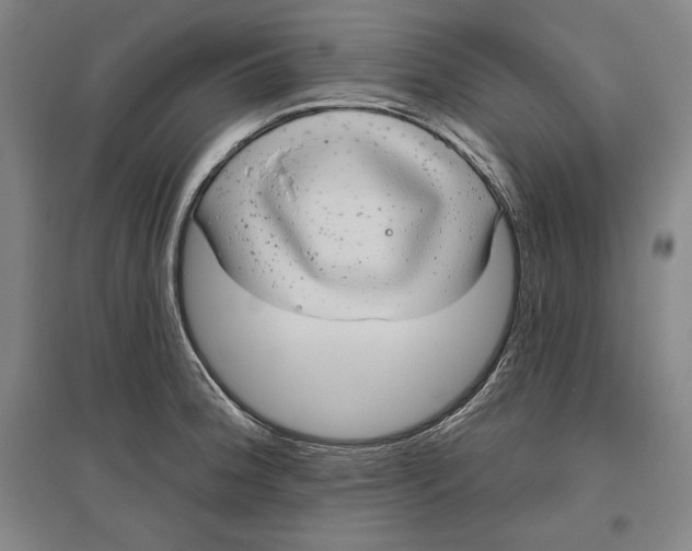 X0000096631188200802261157