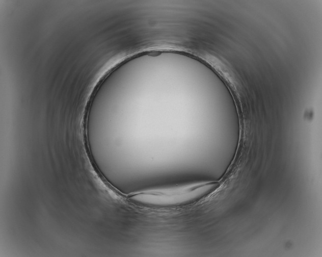 X0000096631189200802261157