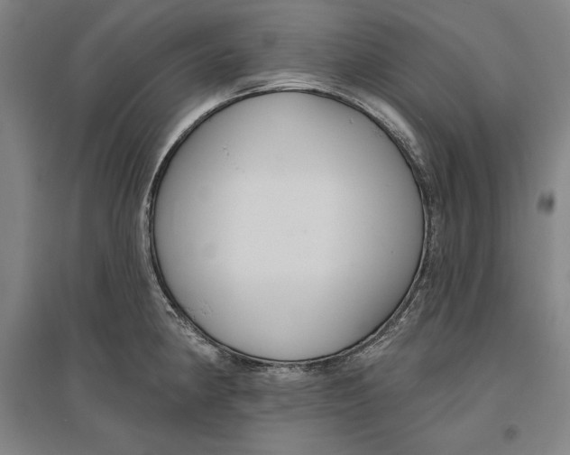 X0000096631190200802261157