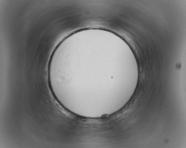 X0000096631191200802261157