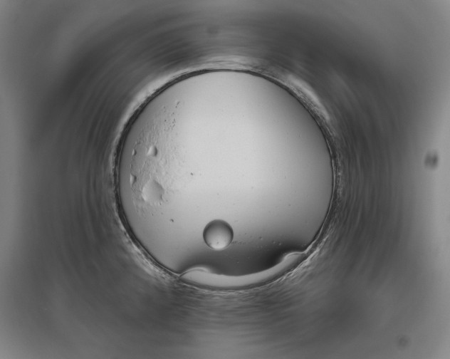 X0000096631192200802261157