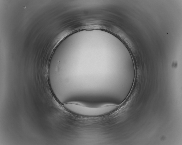 X0000096631193200802261157