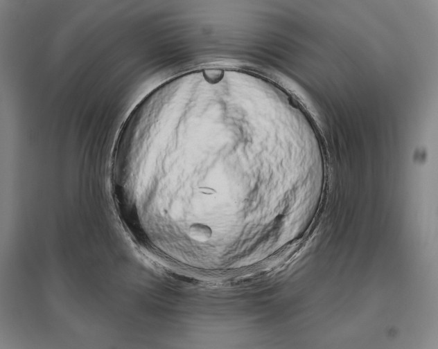 X0000096631194200802261157