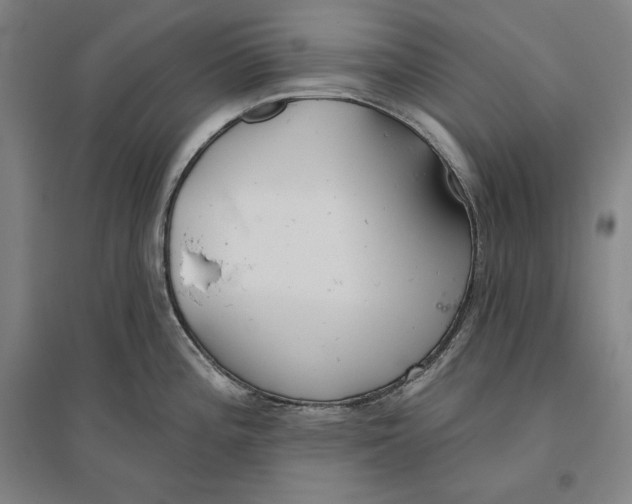 X0000096631196200802261157