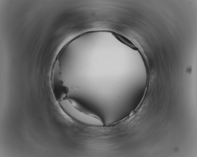 X0000096631197200802261157
