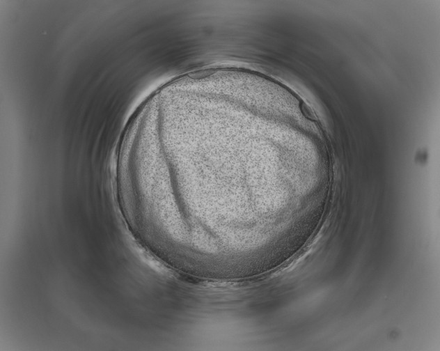 X0000096631198200802261157
