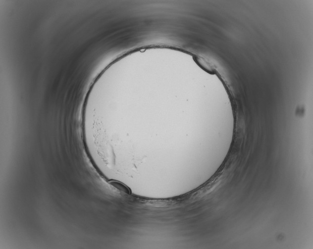 X0000096631199200802261157