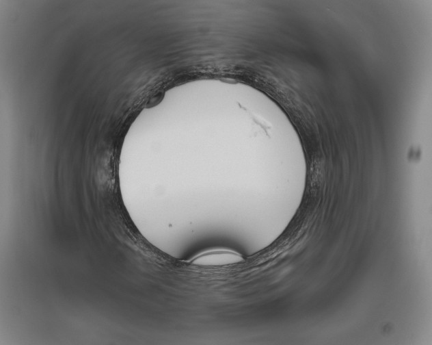 X0000096631202200802261156