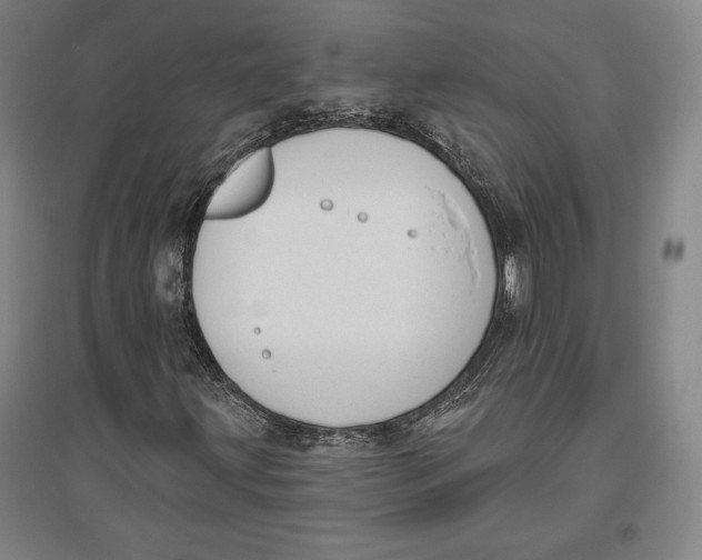 X0000096631203200802261156