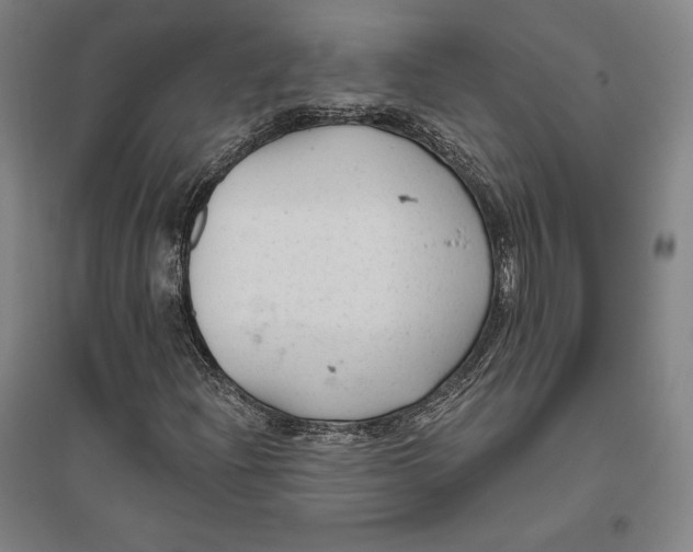 X0000096631204200802261156