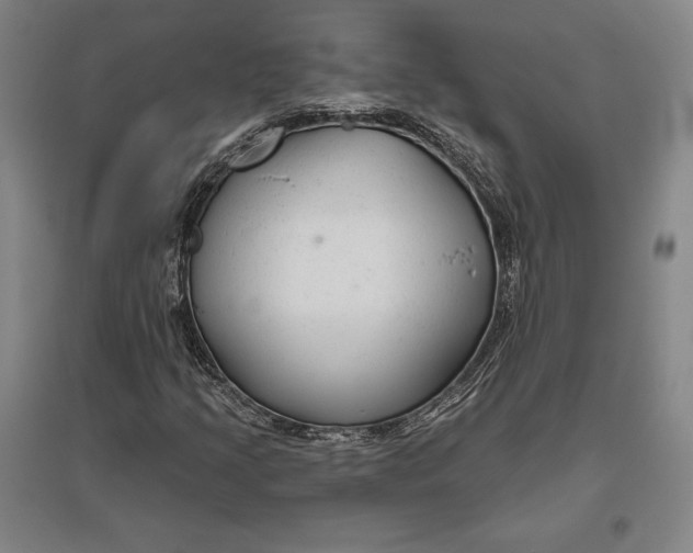 X0000096631205200802261156