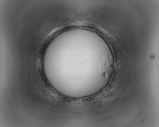 X0000096631206200802261156