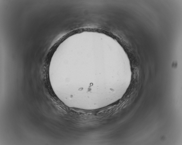 X0000096631208200802261156