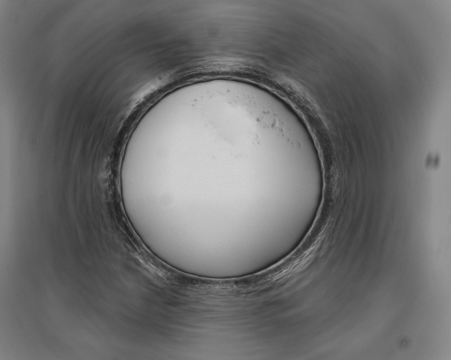 X0000096631210200802261156