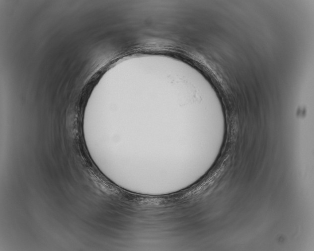 X0000096631211200802261156