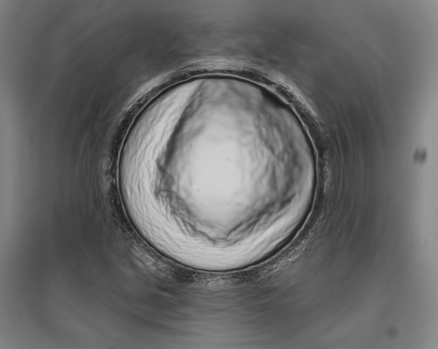 X0000096631213200802261156