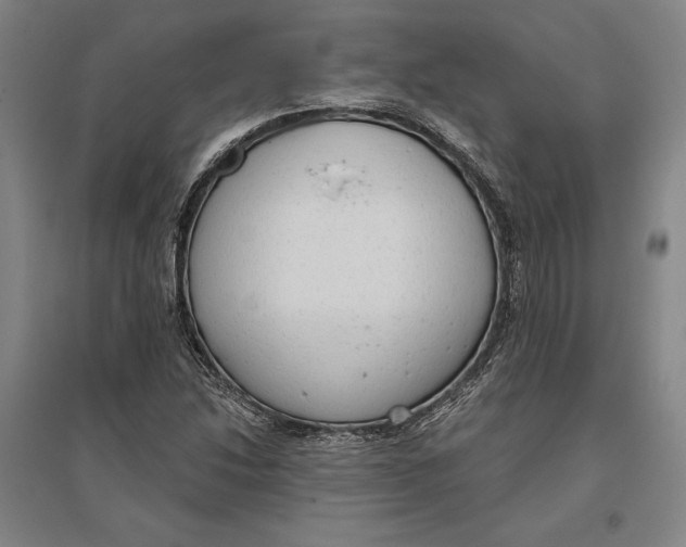 X0000096631214200802261156