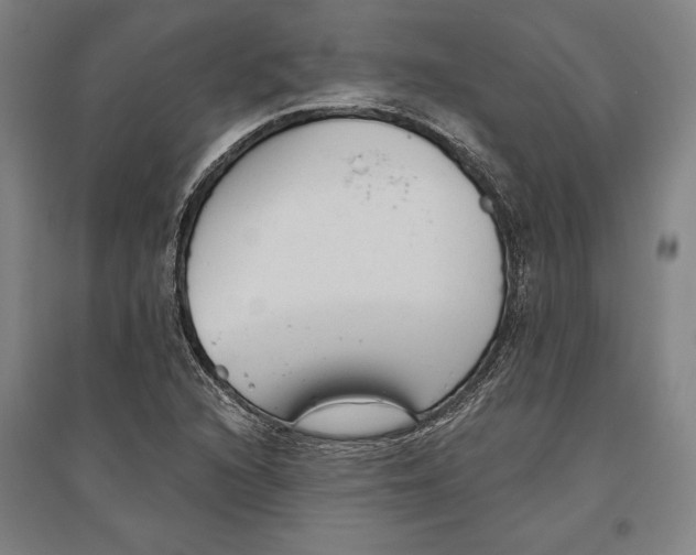 X0000096631216200802261156