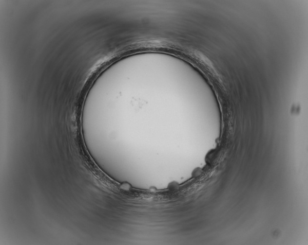 X0000096631218200802261156