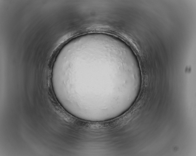 X0000096631219200802261156