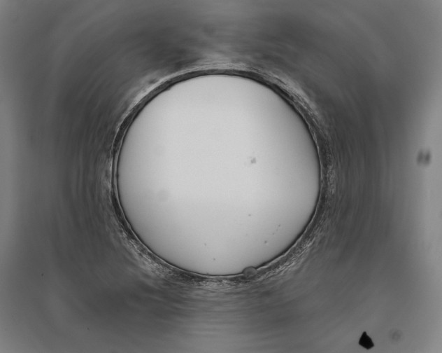 X0000096631220200802261156