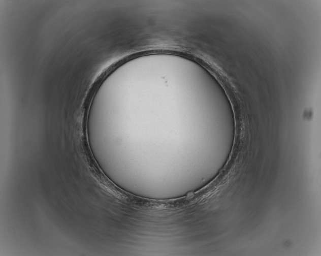 X0000096631222200802261156