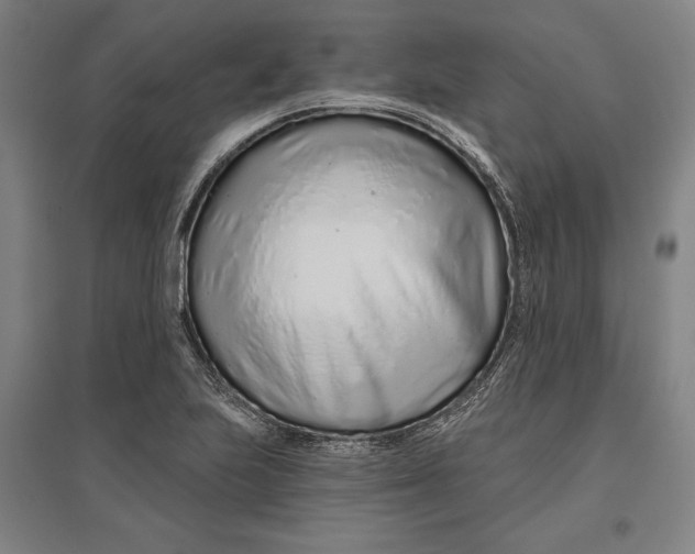 X0000096631223200802261156