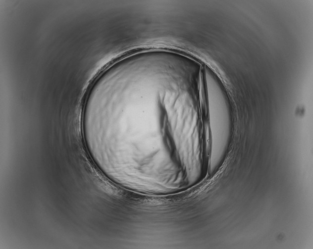 X0000096631224200802261157