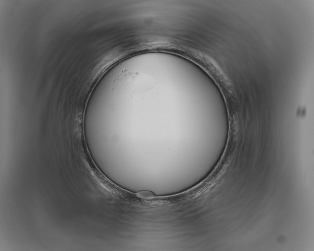 X0000096631225200802261157
