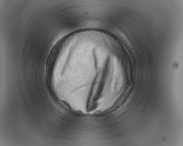 X0000096631226200802261157