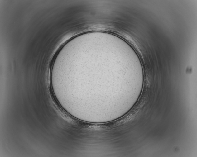 X0000096631227200802261157