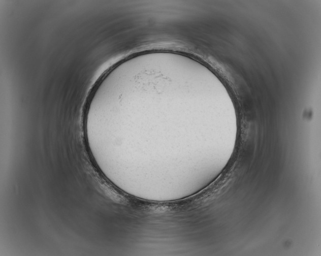 X0000096631230200802261157