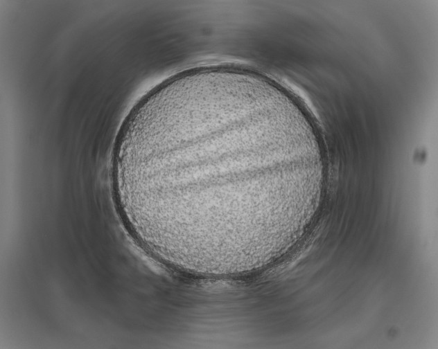 X0000096631231200802261157