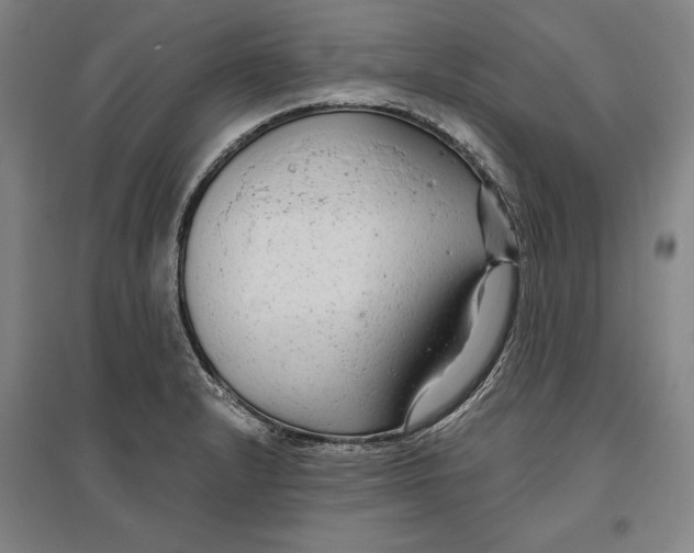 X0000096631232200802261157