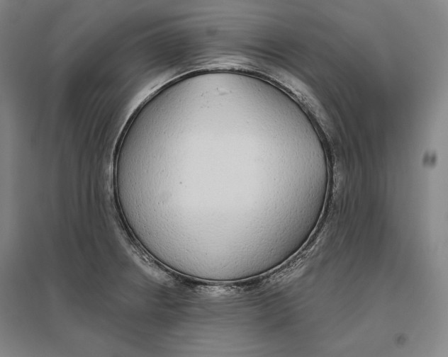 X0000096631234200802261157