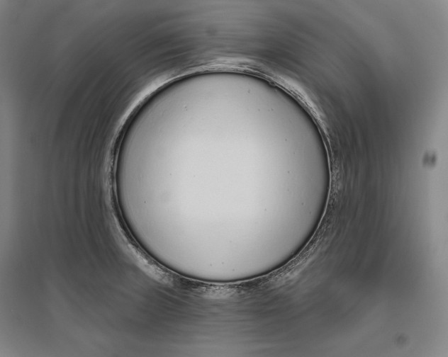 X0000096631235200802261157