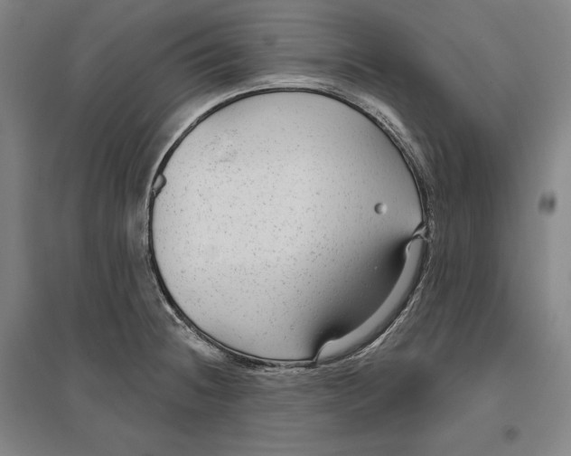 X0000096631236200802261157
