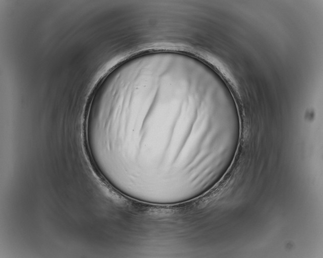 X0000096631237200802261157