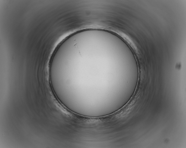 X0000096631238200802261157