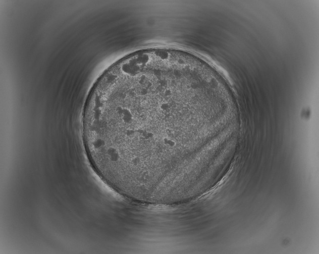 X0000096631239200802261157