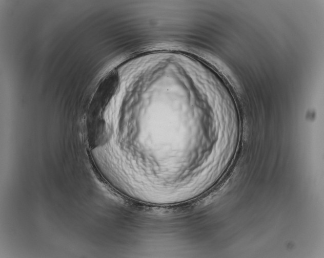 X0000096631241200802261157
