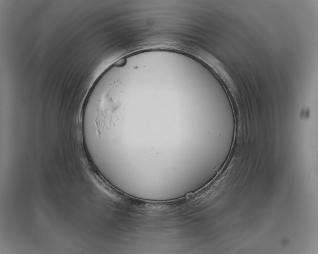 X0000096631242200802261157