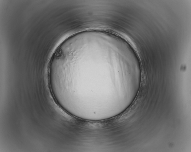 X0000096631243200802261157