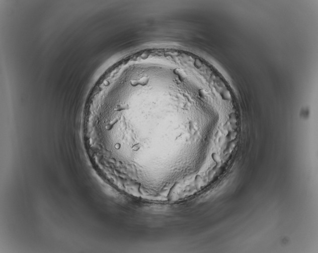 X0000096631245200802261157