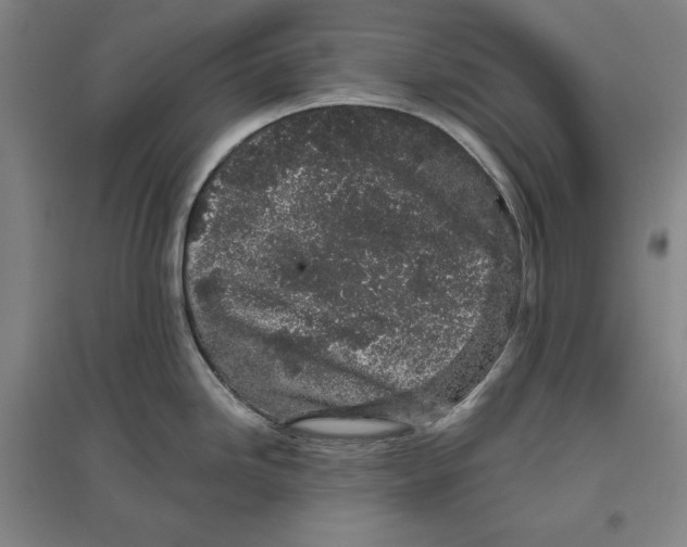X0000096631246200802261157