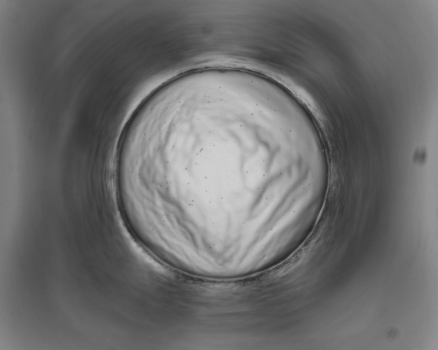 X0000096631247200802261157